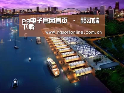 案例展示八