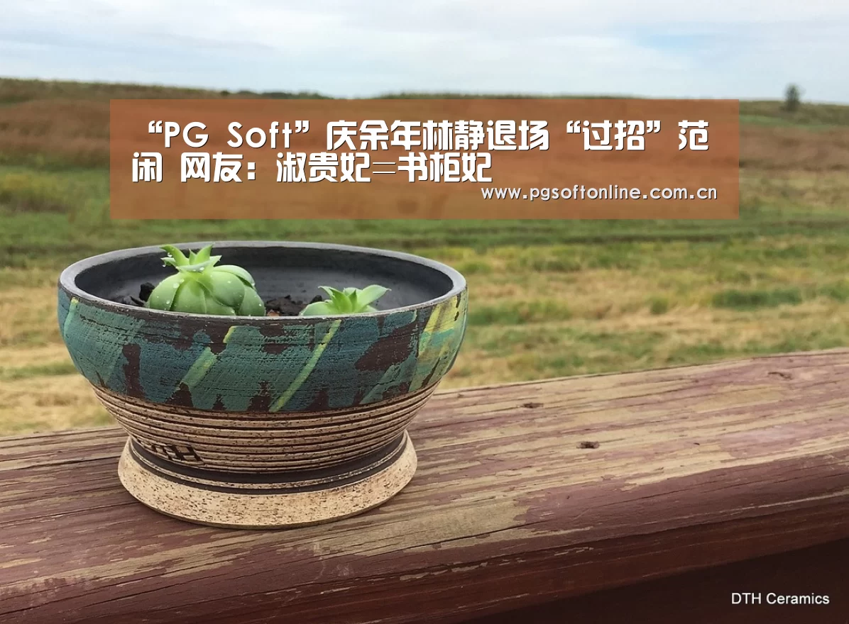“PG Soft”庆余年林静退场“过招”范闲 网友:淑贵妃=书柜妃(图2) pg电子