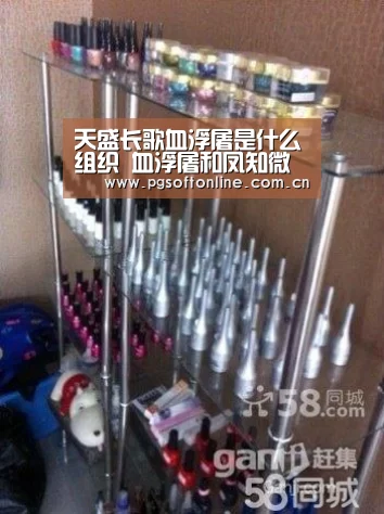 天盛长歌血浮屠是什么组织 血浮屠和凤知微什么关系|PG电子APP(图4) pg电子