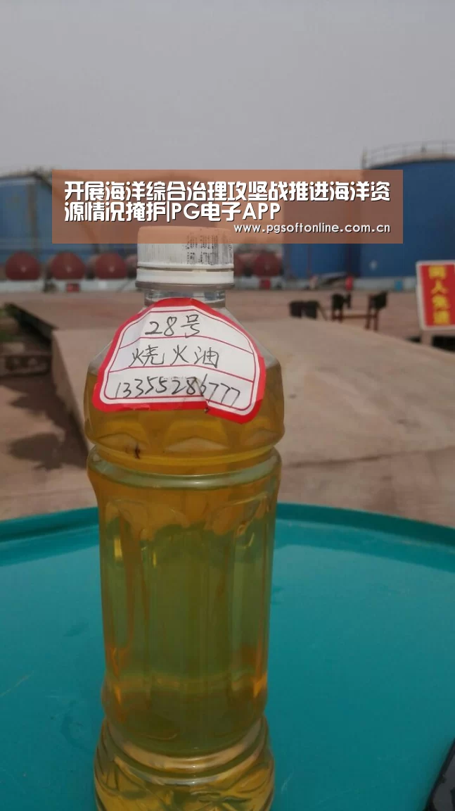 pg电子试玩